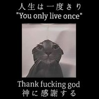Cat You Only Live Once Thank Fucking God Japanese 16 in Basic Backpack