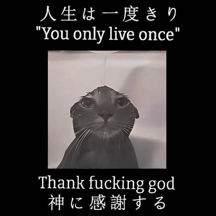 Cat You Only Live Once Thank Fucking God Japanese 16 in Basic Backpack