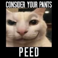 Consider Your Pants Peed Weird Cat Meme Funny Memes Brainrot Full-Length Apron With Pockets