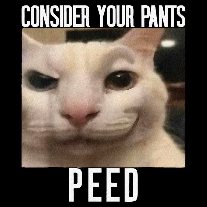 Consider Your Pants Peed Weird Cat Meme Funny Memes Brainrot Full-Length Apron With Pockets