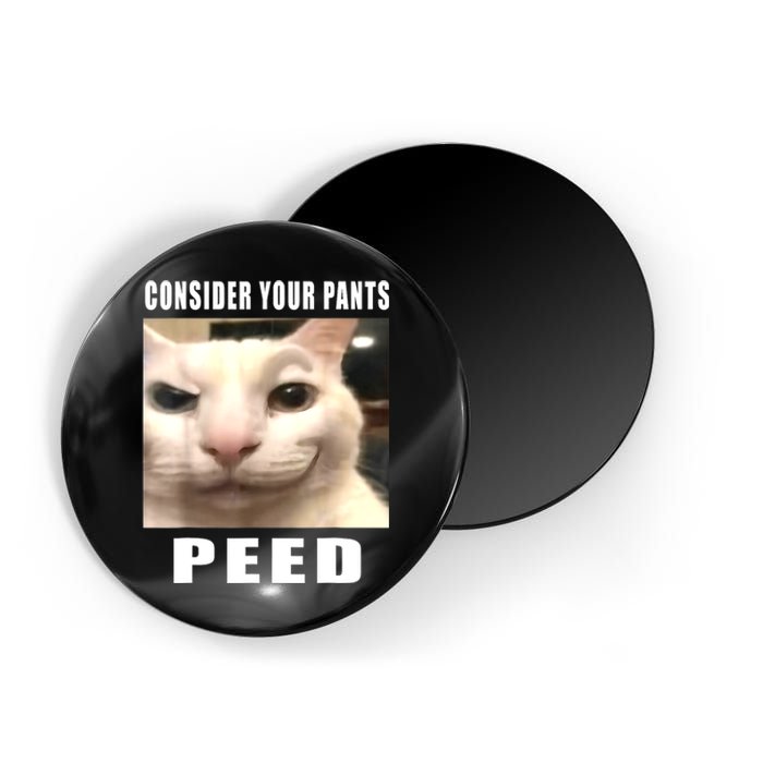 Consider Your Pants Peed Silly Cat Meme Magnet