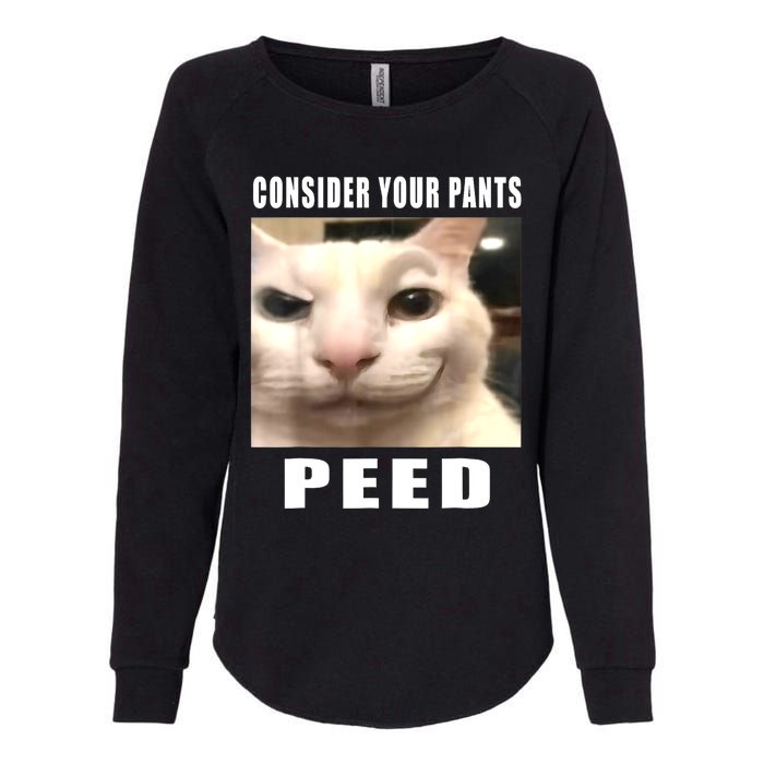 Consider Your Pants Peed Silly Cat Meme Womens California Wash Sweatshirt