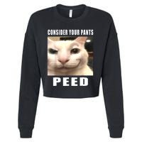 Consider Your Pants Peed Silly Cat Meme Cropped Pullover Crew