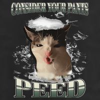 Consider Your Pants Peed Funny Freak Cat Meme Humor Saying Cool Comfort Performance Bucket Hat