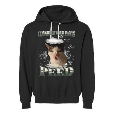 Consider Your Pants Peed Funny Freak Cat Meme Humor Saying Garment-Dyed Fleece Hoodie