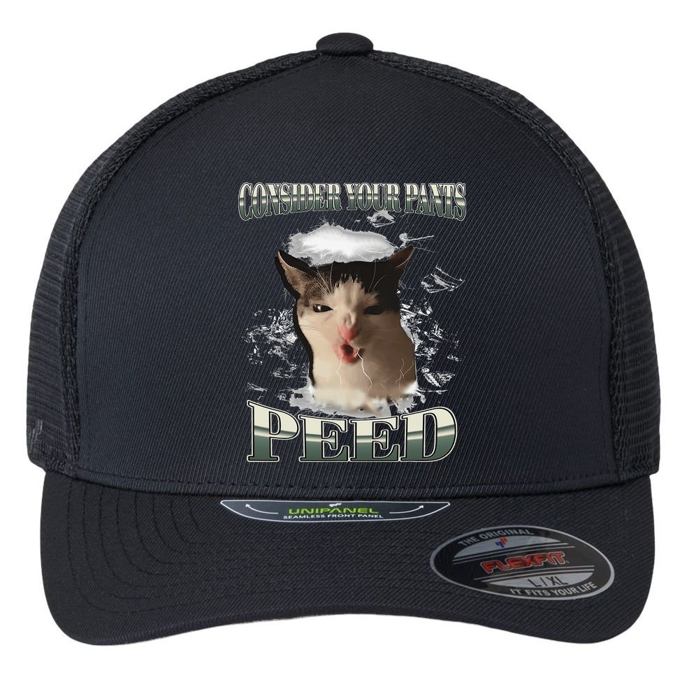 Consider Your Pants Peed Funny Freak Cat Meme Humor Saying Flexfit Unipanel Trucker Cap