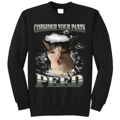 Consider Your Pants Peed Funny Freak Cat Meme Humor Saying Sweatshirt