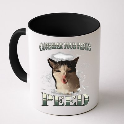 Consider Your Pants Peed Funny Freak Cat Meme Humor Saying Mug