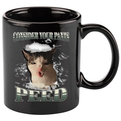 Consider Your Pants Peed Funny Freak Cat Meme Humor Saying 11oz C Handle Ceramic Mug