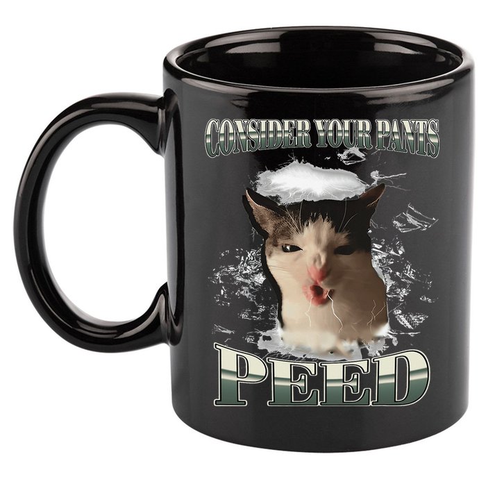 Consider Your Pants Peed Funny Freak Cat Meme Humor Saying 11oz C Handle Ceramic Mug