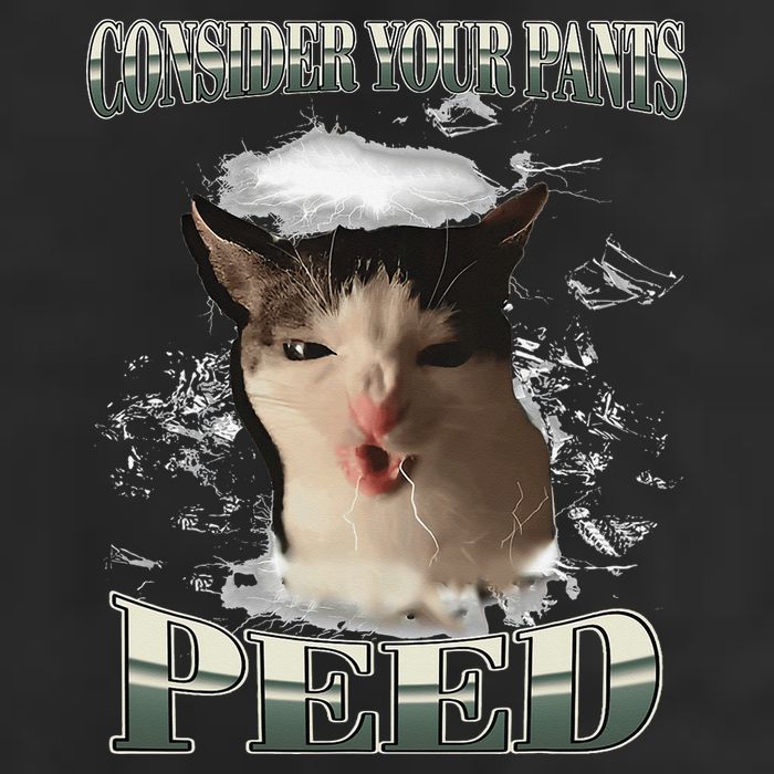 Consider Your Pants Peed Funny Freak Cat Meme Humor Saying 15oz Campfire Ceramic Mug