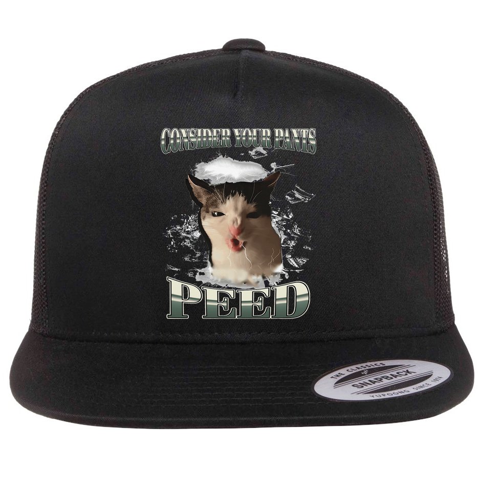 Consider Your Pants Peed Funny Freak Cat Meme Humor Saying Flat Bill Trucker Hat