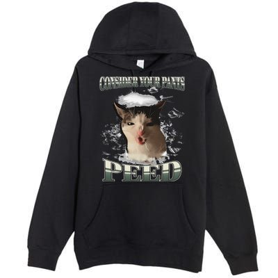 Consider Your Pants Peed Funny Freak Cat Meme Humor Saying Premium Pullover Hoodie
