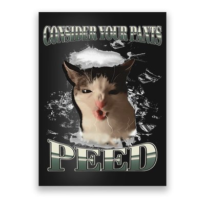 Consider Your Pants Peed Funny Freak Cat Meme Humor Saying Poster