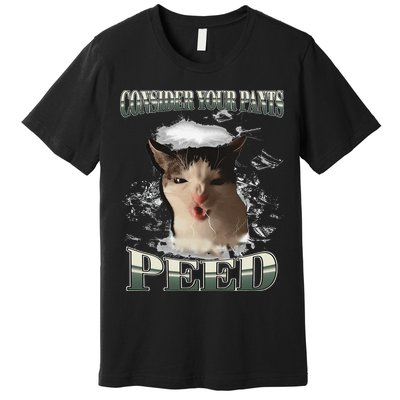 Consider Your Pants Peed Funny Freak Cat Meme Humor Saying Premium T-Shirt