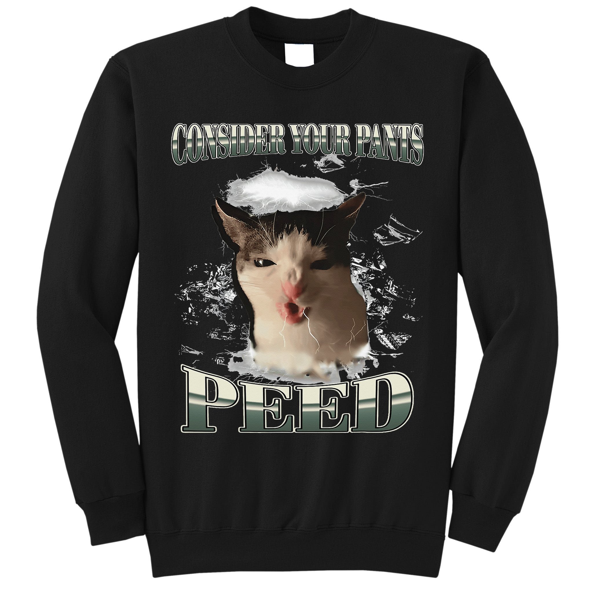 Consider Your Pants Peed Funny Freak Cat Meme Humor Saying Tall Sweatshirt
