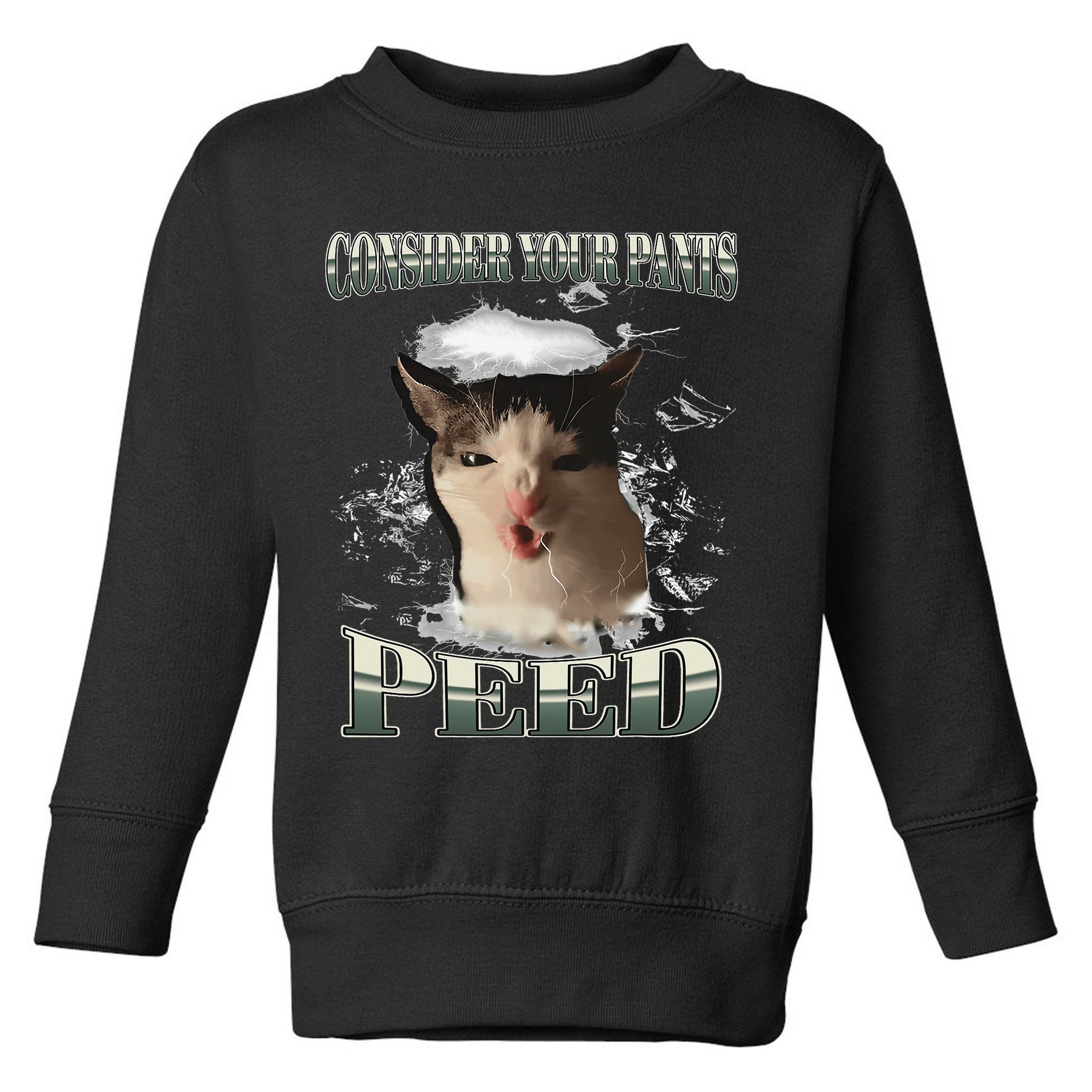 Consider Your Pants Peed Funny Freak Cat Meme Humor Saying Toddler Sweatshirt