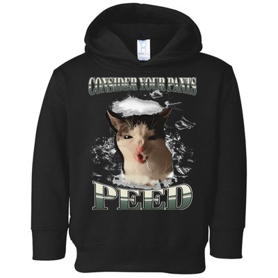 Consider Your Pants Peed Funny Freak Cat Meme Humor Saying Toddler Hoodie