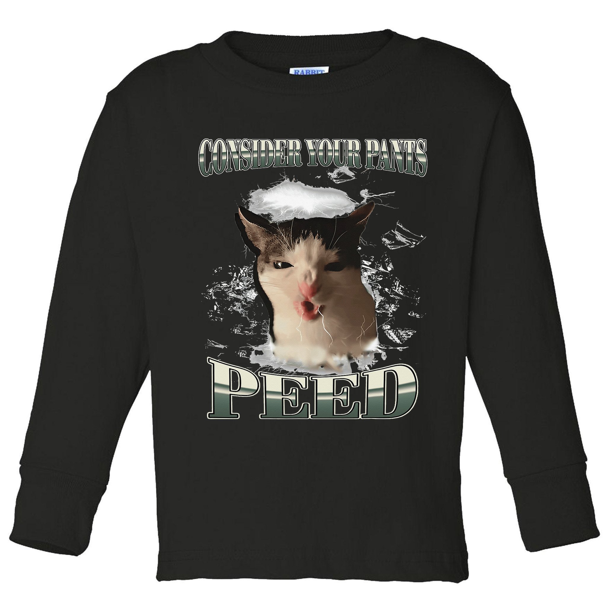 Consider Your Pants Peed Funny Freak Cat Meme Humor Saying Toddler Long Sleeve Shirt