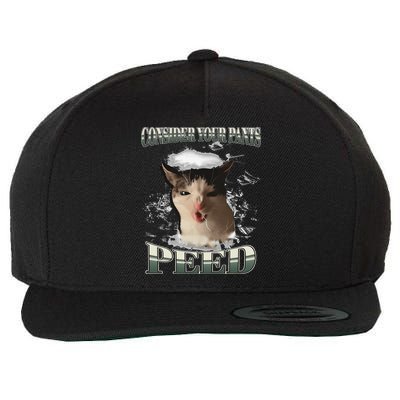 Consider Your Pants Peed Funny Freak Cat Meme Humor Saying Wool Snapback Cap