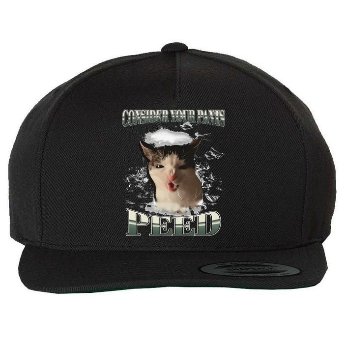 Consider Your Pants Peed Funny Freak Cat Meme Humor Saying Wool Snapback Cap