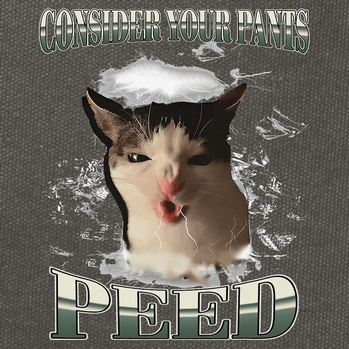Consider Your Pants Peed Funny Freak Cat Meme Humor Saying Cotton Canvas Backpack
