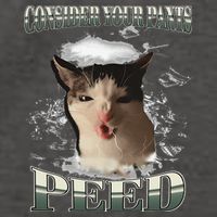 Consider Your Pants Peed Funny Freak Cat Meme Humor Saying Vector Backpack