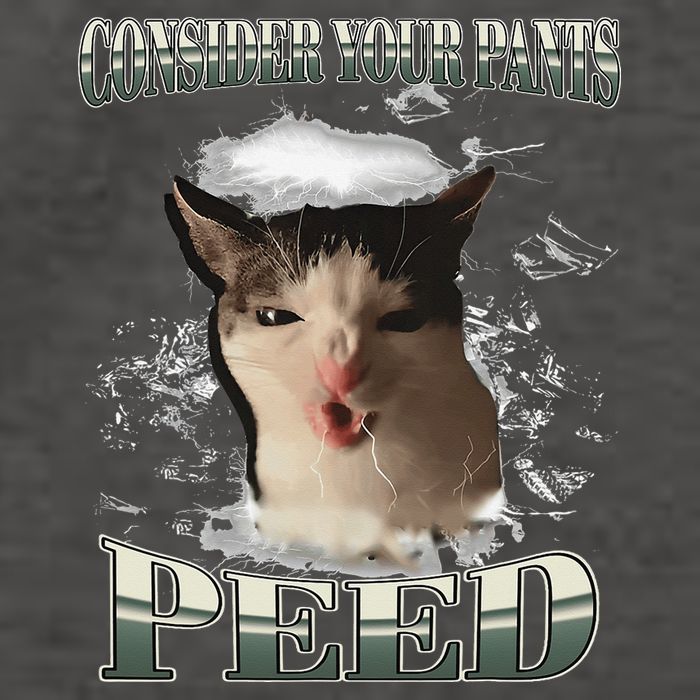 Consider Your Pants Peed Funny Freak Cat Meme Humor Saying Vector Backpack