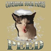 Consider Your Pants Peed Funny Freak Cat Meme Humor Saying Button