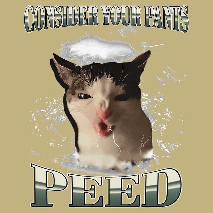Consider Your Pants Peed Funny Freak Cat Meme Humor Saying Button