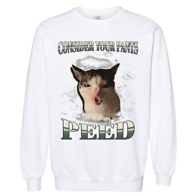 Consider Your Pants Peed Funny Freak Cat Meme Humor Saying Garment-Dyed Sweatshirt