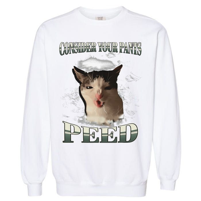 Consider Your Pants Peed Funny Freak Cat Meme Humor Saying Garment-Dyed Sweatshirt