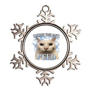 Consider Your Pants Peed Silly Cat Funny Metallic Star Ornament