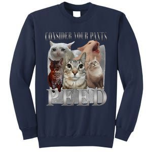 Consider Your Pants Peed Funny Weird Silly Cat Meme Sweatshirt