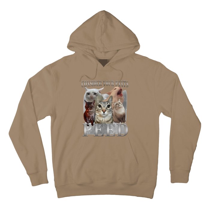 Consider Your Pants Peed Funny Weird Silly Cat Meme Hoodie