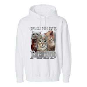 Consider Your Pants Peed Funny Weird Silly Cat Meme Garment-Dyed Fleece Hoodie