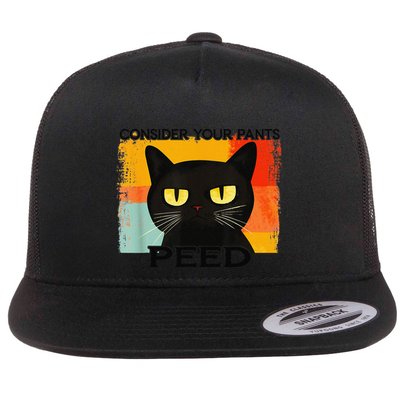 Consider Your Pants Peed Cat Funny Silly Cat Meme Flat Bill Trucker Hat