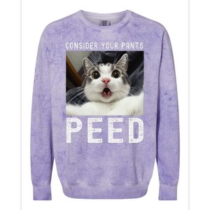 Consider Your Pants Peed Silly Cat Meme Colorblast Crewneck Sweatshirt