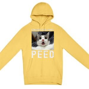 Consider Your Pants Peed Silly Cat Meme Premium Pullover Hoodie