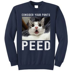 Consider Your Pants Peed Silly Cat Meme Sweatshirt