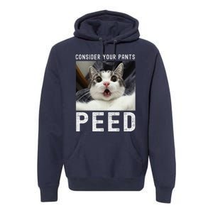 Consider Your Pants Peed Silly Cat Meme Premium Hoodie