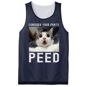 Consider Your Pants Peed Silly Cat Meme Mesh Reversible Basketball Jersey Tank