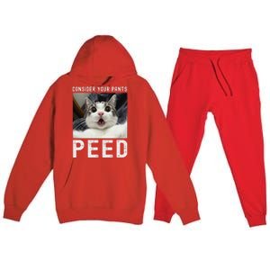 Consider Your Pants Peed Silly Cat Meme Premium Hooded Sweatsuit Set