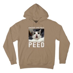 Consider Your Pants Peed Silly Cat Meme Hoodie