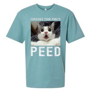 Consider Your Pants Peed Silly Cat Meme Sueded Cloud Jersey T-Shirt