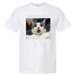 Consider Your Pants Peed Silly Cat Meme Garment-Dyed Heavyweight T-Shirt