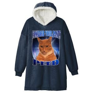 Consider Your Pants Peed Silly Cat Meme Hooded Wearable Blanket