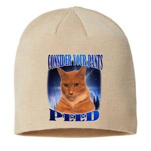 Consider Your Pants Peed Silly Cat Meme Sustainable Beanie