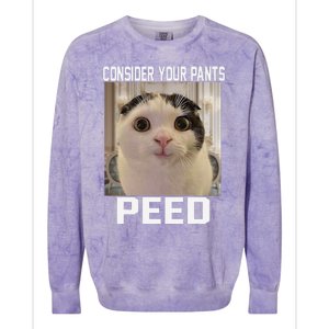 Consider Your Pants Peed Silly Cat Meme Colorblast Crewneck Sweatshirt