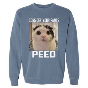 Consider Your Pants Peed Silly Cat Meme Garment-Dyed Sweatshirt